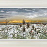 Snow Kissed Blooms by Kimberley Harris