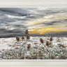 Sun-Kissed Winters by Kimberley Harris