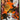Sunburst Orange by Chuck