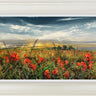 Sunlit Pastures by Kimberley Harris