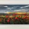 Sunset Harmony by Kimberley Harris