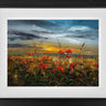 Sunset Lovers by Kimberley Harris