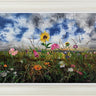 Sunshine Overhead by Kimberley Harris