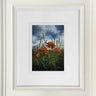 The Gentle Presence Of Poppies by Kimberley Harris