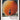 The Giant Peach - Rebooked by Linda Charles