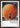 The Giant Peach - Rebooked by Linda Charles