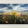 The Golden Hour by Kimberley Harris