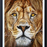 The King - Deluxe by Martin Robson