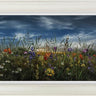 The Meadow That Grew Untamed by Kimberley Harris
