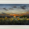 The Morning Shines Through by Kimberley Harris