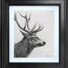 The Noble Stag - Study by Martin Robson