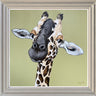 The Perfect Height by Amy Louise