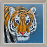 The Roar by Amy Louise