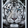 The Silent Warrior - Deluxe by Martin Robson