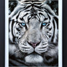 The Silent Warrior by Martin Robson