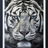 The Silent Warrior by Martin Robson