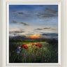The Soft Light Of Day by Kimberley Harris