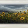 The Sunflowers Borrow The Sun by Kimberley Harris