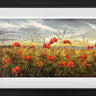 Together We Remember by Kimberley Harris