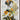 Tokyo by Chuck