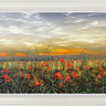 Tranquil Horizon by Kimberley Harris