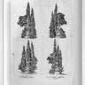Tuscan Quatre Stagione  - Sketch Drawn To Adorn by Laurence Llewelyn-Bowen