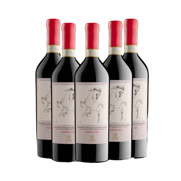 Falezze Amarone Della Valpolicella Riserva 2015 Art Collection