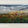 Where The Poppies Play by Kimberley Harris