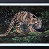 Whispers In The Wild - Commission by Martin Robson