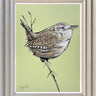 Wren by Amy Louise