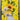 Yellow Zing by Chuck